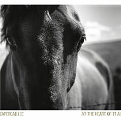At The Heart Of It All (CD)