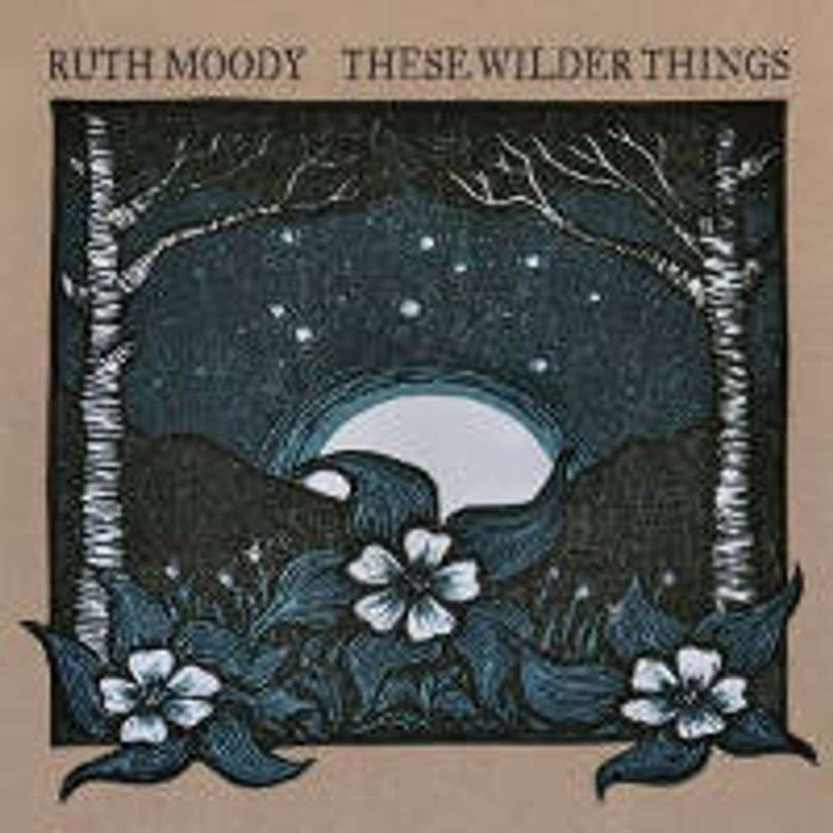 These Wilder Things (CD)