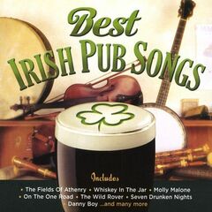 Best Irish Pub Songs (CD)