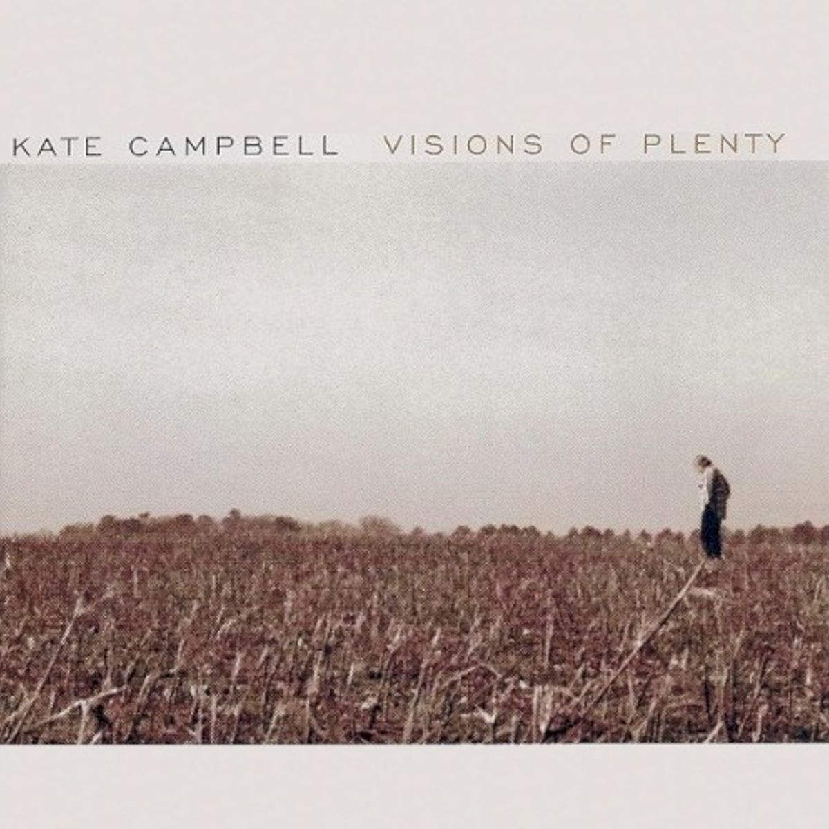 Visions Of Plenty (CD)
