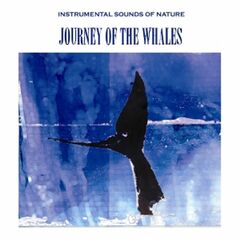 Journey Of The Whales (CD)