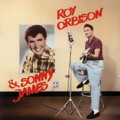 The RCA Sessions [Import] (CD)