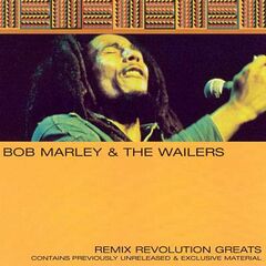 Remix Revolution Greats (CD)