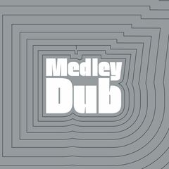 Medley Dub [180 Gram Orange Vinyl] (LP)
