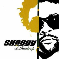 Clothes Drop (CD)