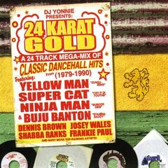 24K Gold Dancehall Megamix (CD)