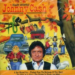 Sounds Like / Crazy Times (CD)