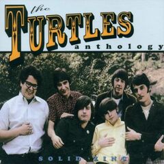Solid Zinc: The Turtles Anthology (CD)