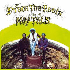 From The Roots [180 Gram Vinyl] (LP)