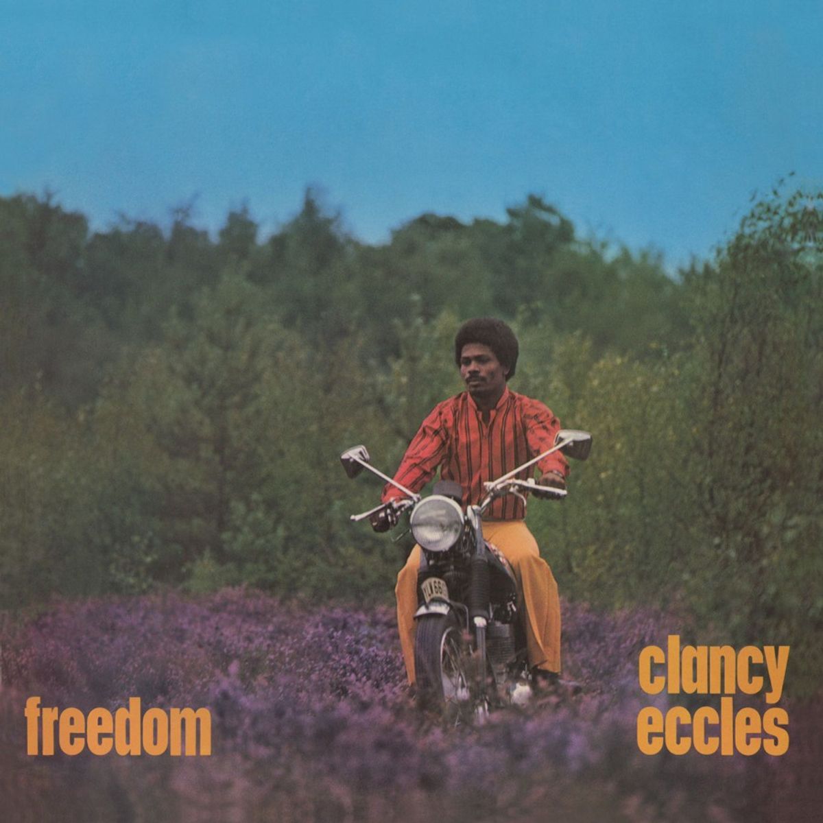 Freedom [180 Gram Vinyl] (LP)