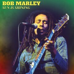 Sun Is Shining / Mr. Brown [Yellow Marble Vinyl] (7