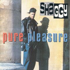 Pure Pleasure (CD)