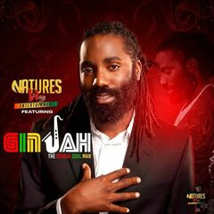 The Reggae Soul Man (CD)