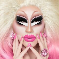 The Blonde & Pink Albums (CD)