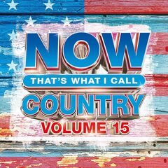 NOW Country Vol. 15 (CD)