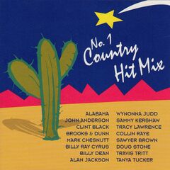 No. 1 Country Hit Mix (CD)