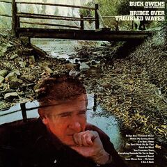 Bridge Over Troubled Water [Black Friday Clear Vinyl] (LP)