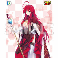 Axia Canvas Art Series No.064-F30th High School D x D 
