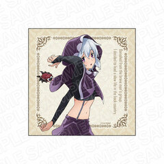 Banished from the Hero's Party, I Decided to Live a Quiet Life in the Countryside Microfiber Cloth Tisse