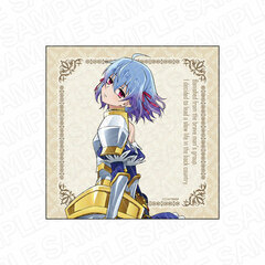 Banished from the Hero's Party, I Decided to Live a Quiet Life in the Countryside Microfiber Cloth Ruti