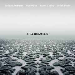 Still Dreaming (LP)
