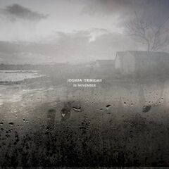 In November (CD)