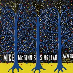 Singular Awakening (CD)