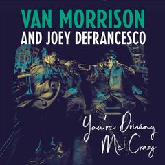 You're Driving Me Crazy (LP)