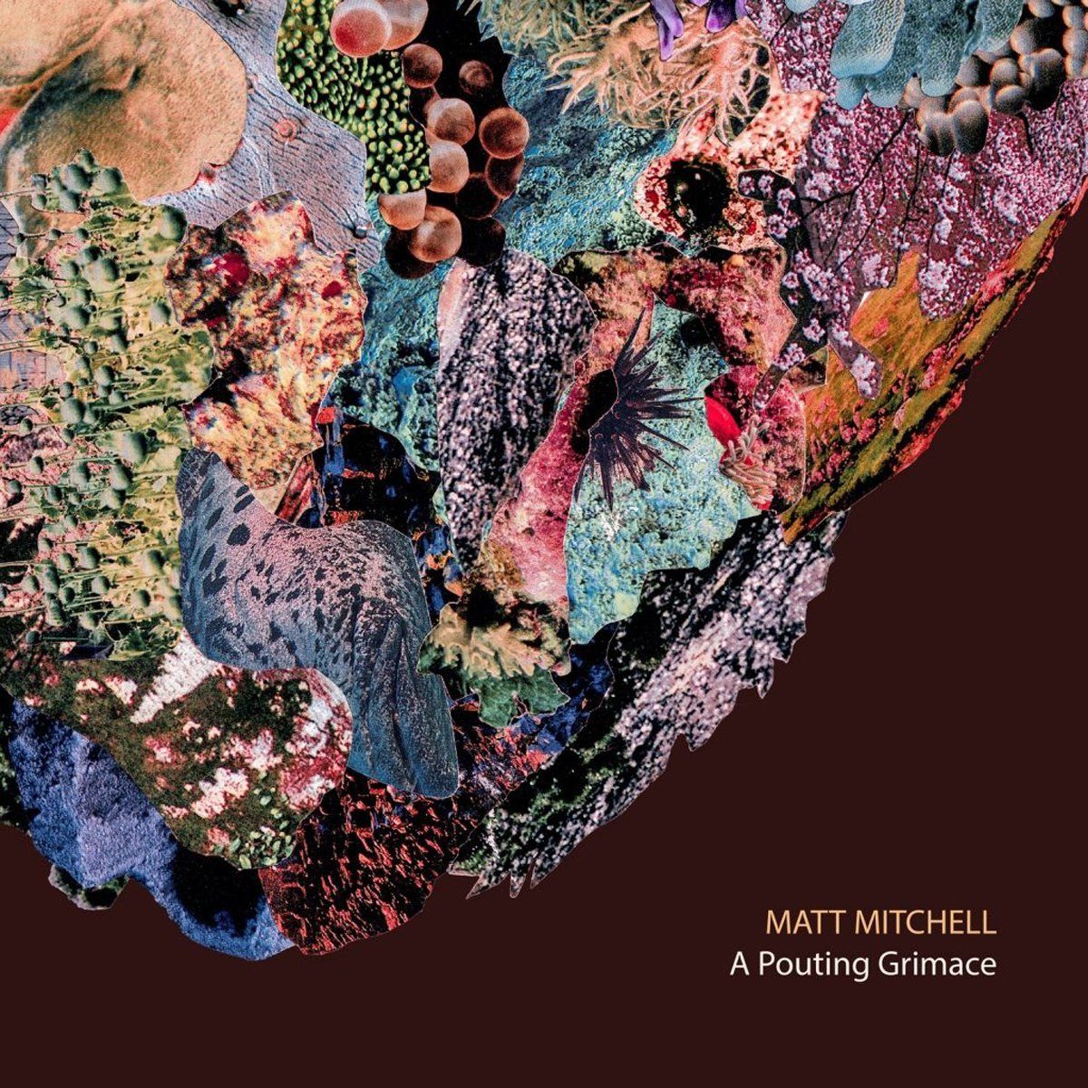 A Pouting Grimace (CD)
