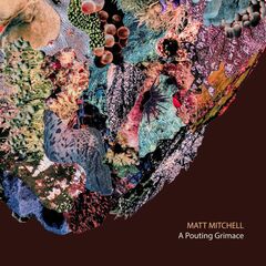 A Pouting Grimace (CD)