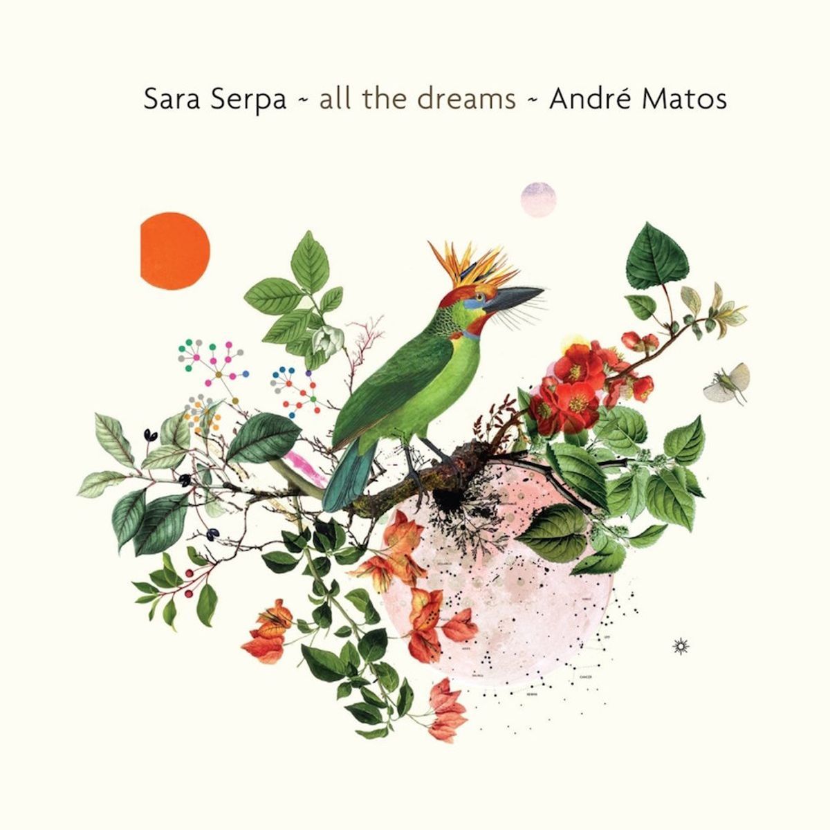 All The Dreams (CD)