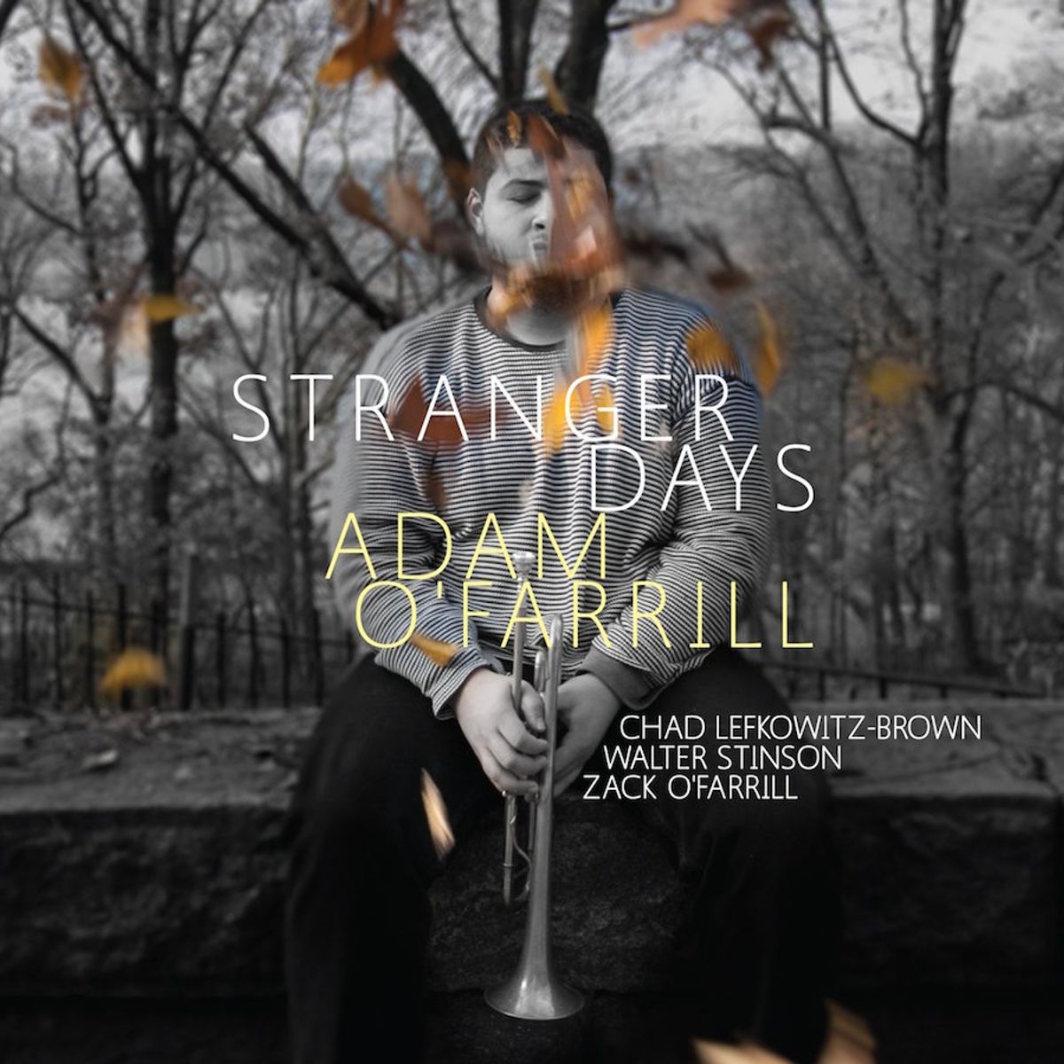 Stranger Days (CD)