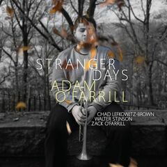 Stranger Days (CD)
