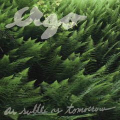 As Subtle As Tomorrow (CD)
