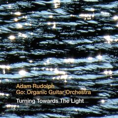 Turning Towards The Light (CD)