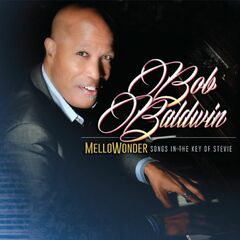 Mellowonder - Songs In The Key Of Stevie (CD)