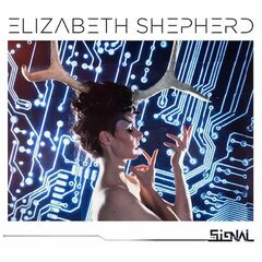 The Signal (CD)