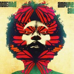Amplified Soul (CD)