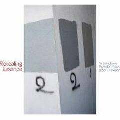 Revealing Essence (CD)