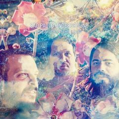 Beija Flors Velho E Sujo (CD)