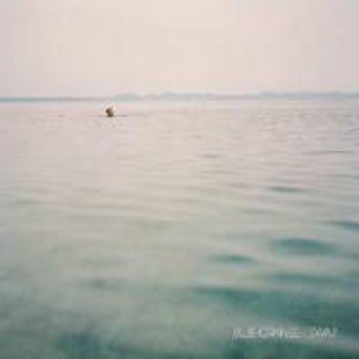 Swim (CD)