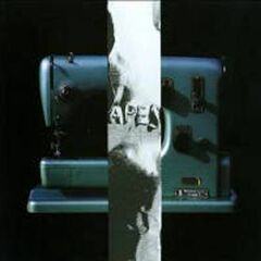 Radio Da Da / The Teenage Tapes (CD)