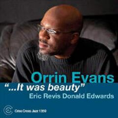 It Was Beauty (CD)