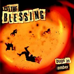 Bugs In Amber (CD)