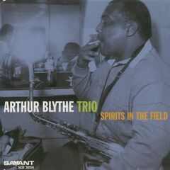 Spirits In The Field (CD)