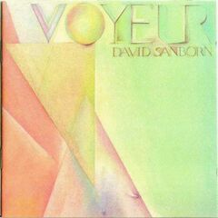 Voyeur (CD)