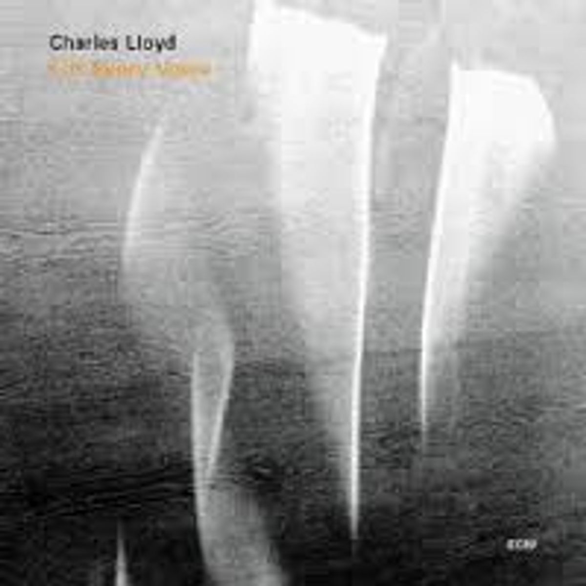 Lift Every Voice (CD)