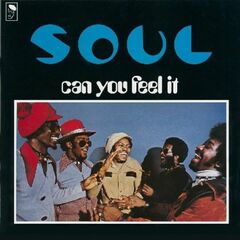 Can You Feel It? (LP)