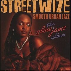 Slow Jamz Album (CD)