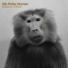 Baboon Moon (CD)